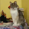 Отзыв от Александра Медведева